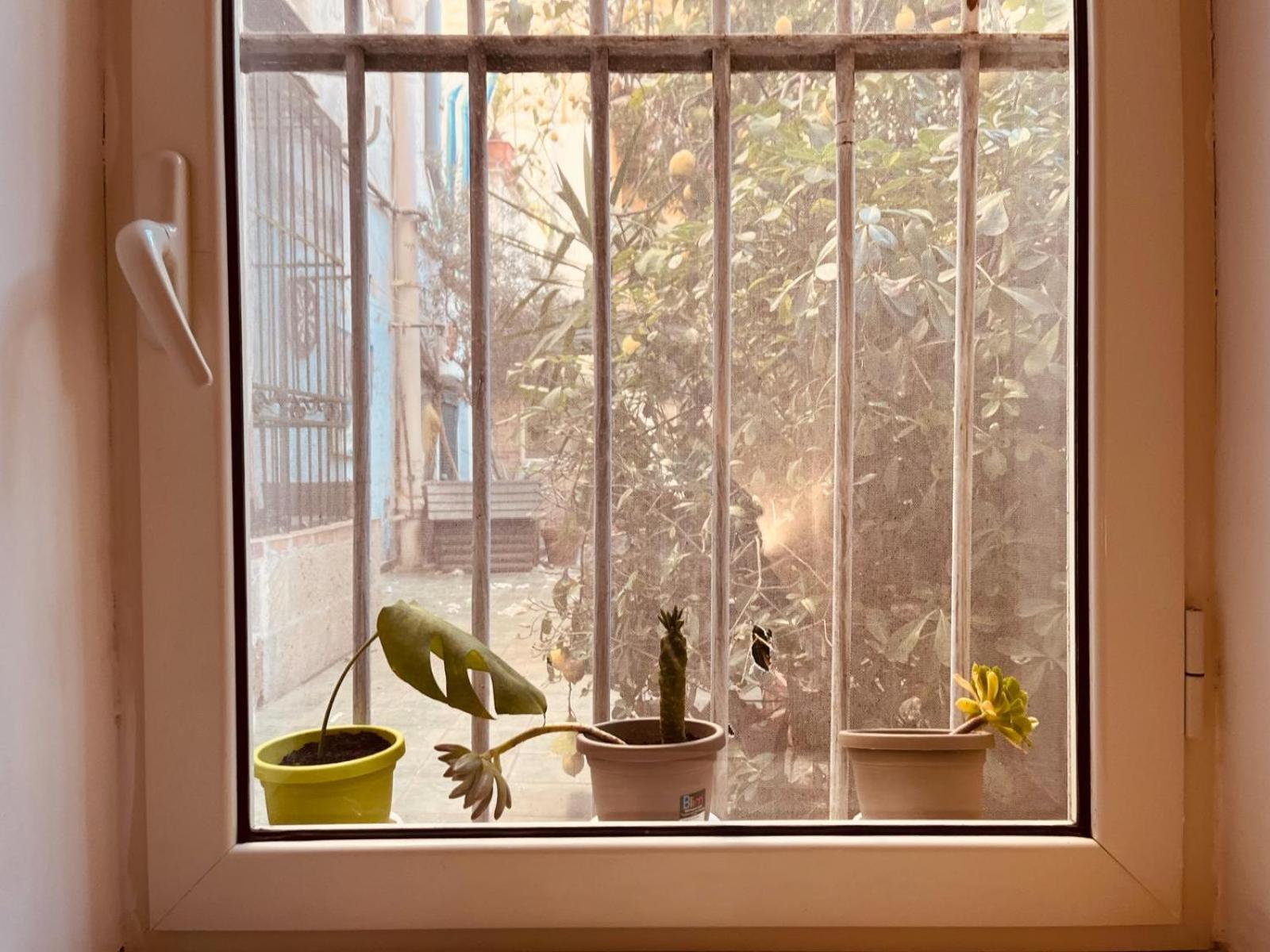 Appartement Il Buon Vento Napels